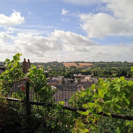 Charming Detached 2 Bedroom Ancient House In Medieval Quarter Of A Small Town In The Pays De La Loire, France Sille-le-Guillaume Bagian luar foto